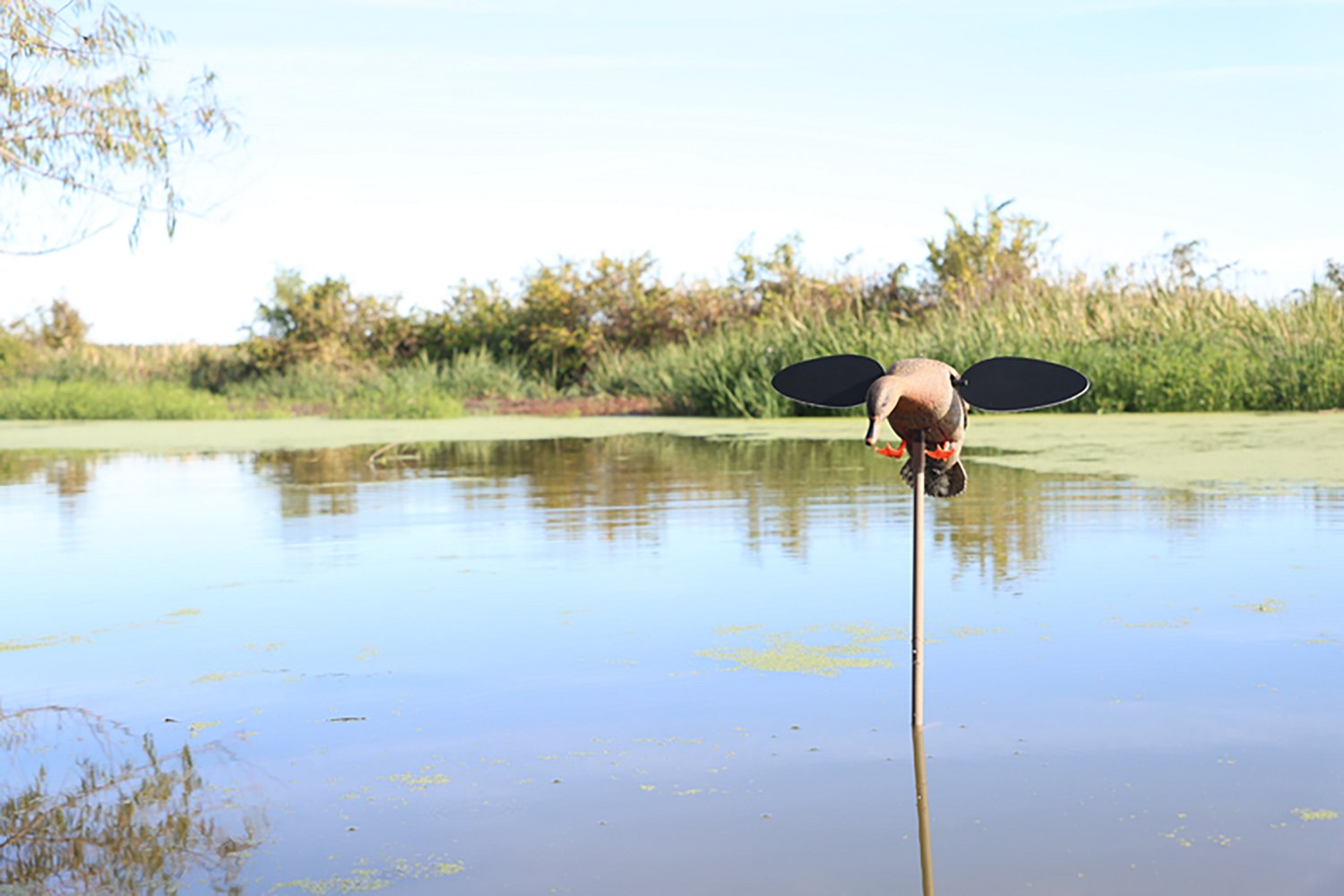 Mojo Outdoors Baby Hen 2.0 Decoy - view number 4