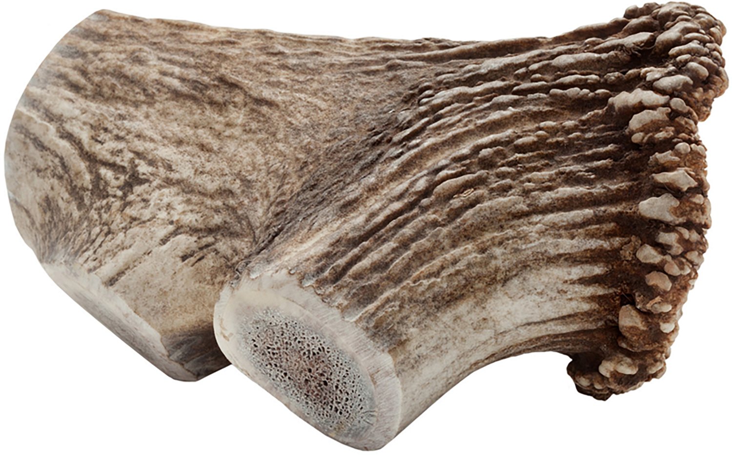 Scout & Zoe's Elk Antler Jumbo Dog Chew