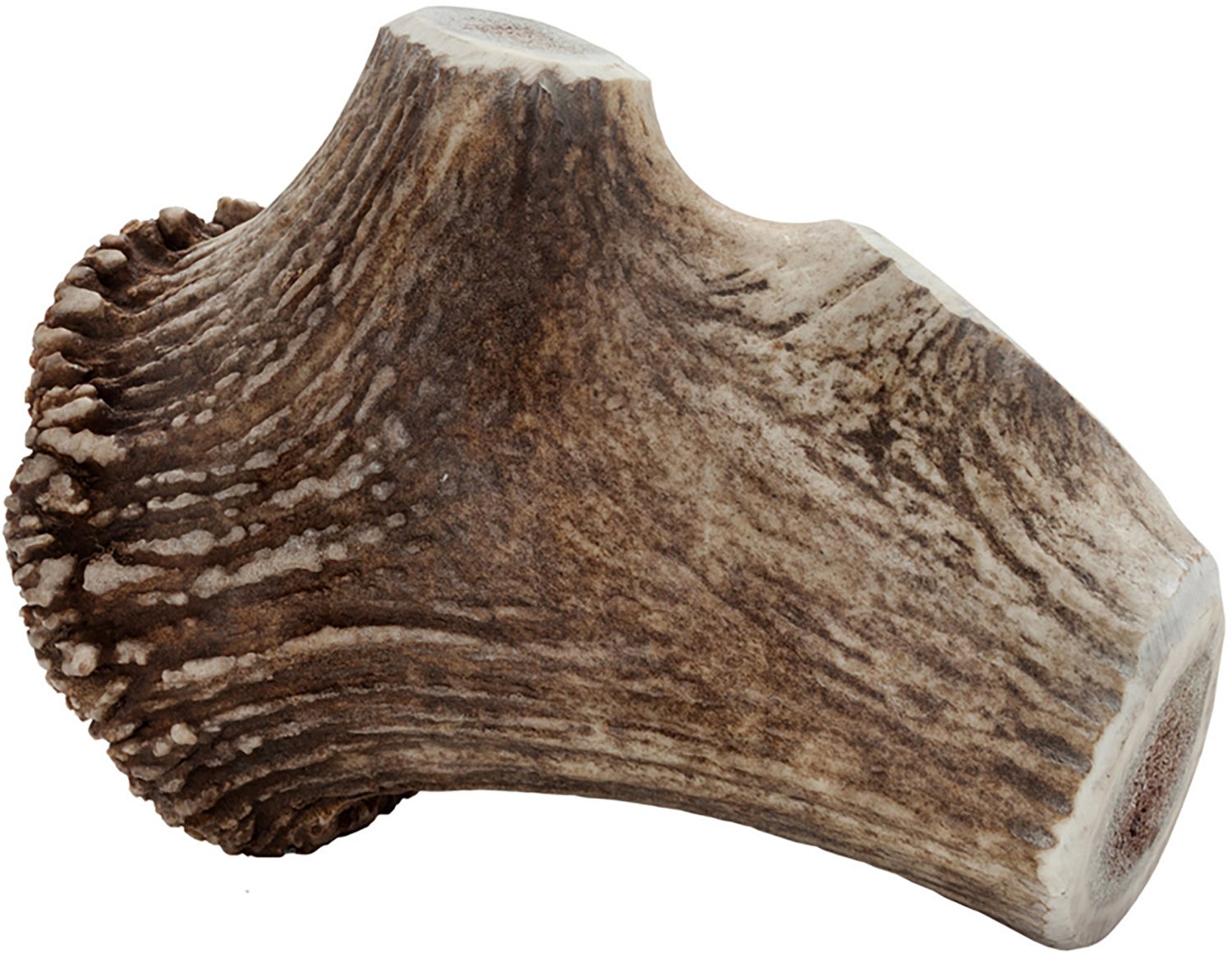 Scout & Zoe's Elk Antler Jumbo Dog Chew