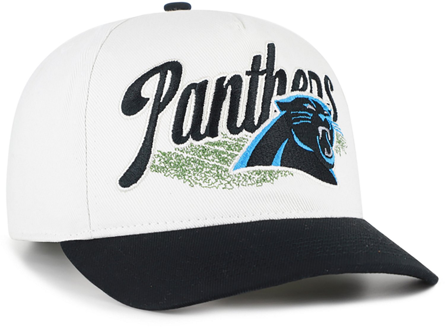 '47 Adults' Carolina Panthers Enfield Hitch Cap