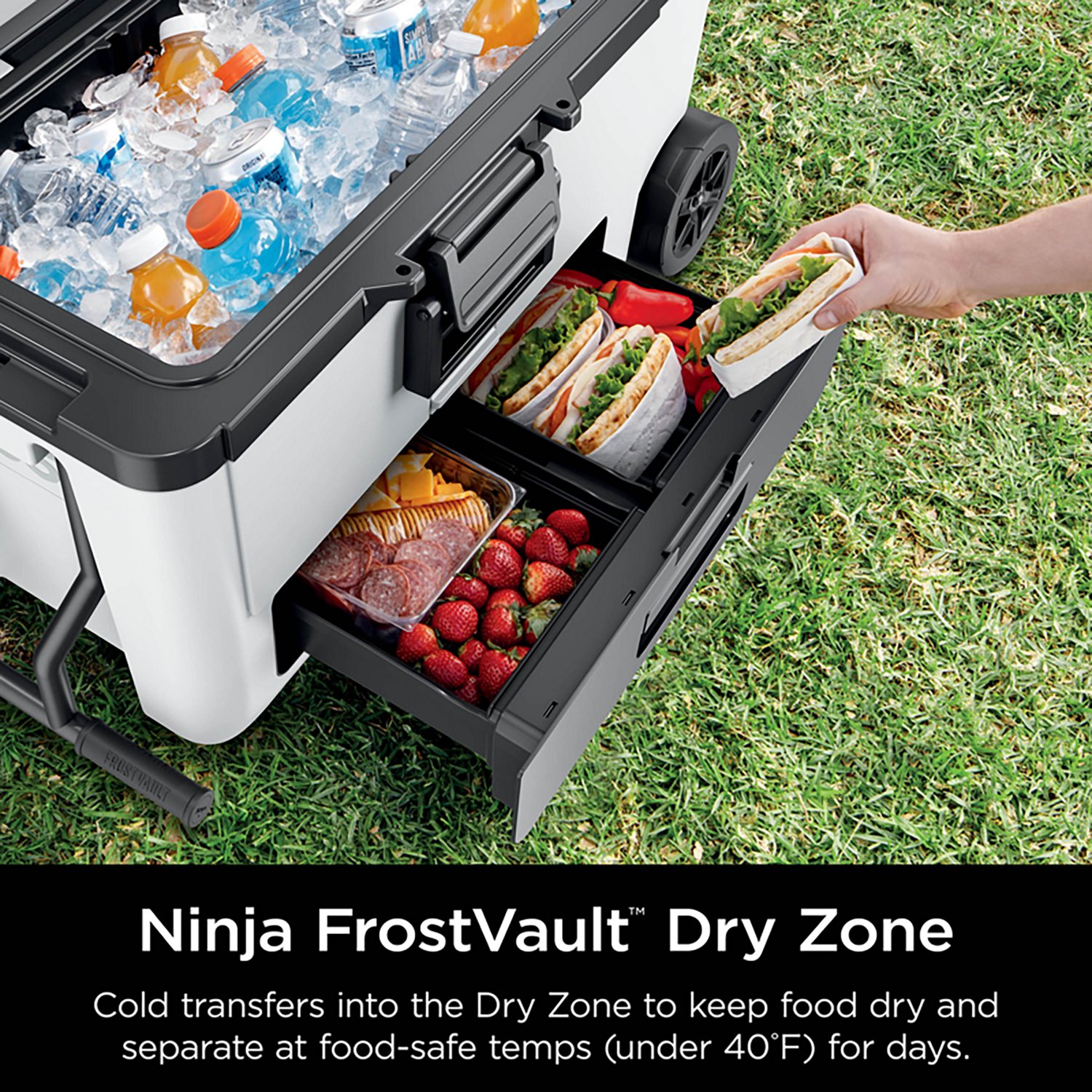 Ninja FrostVault 65qt Wheeled Cooler with Cold Dry Zone                                                                          - view number 3