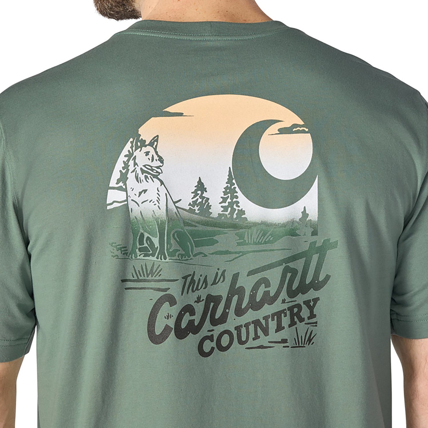 Carhartt Men's Irvine Relaxed Country T-shirt - view number 5