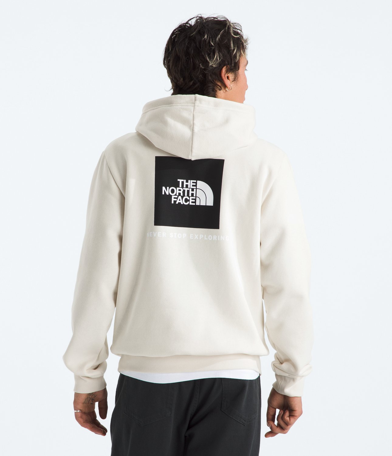 The North Face Men's Evolution Box NSE Hoodie - view number 2