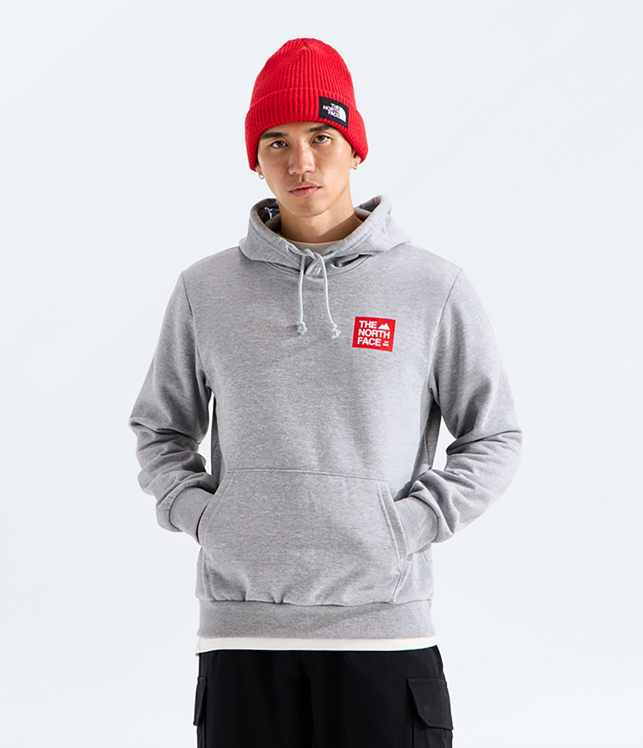 The North Face Men's Evolution TNF Peak Hoodie