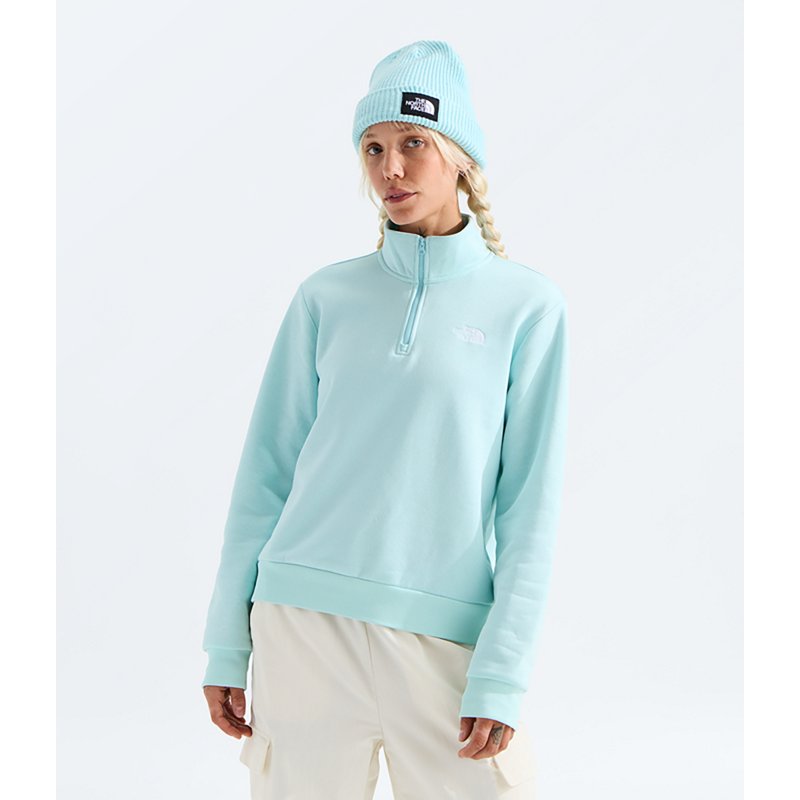 The North Face Women's Evolution Simple Dome Regular Quarter Zip Sweatshirt - Glacier