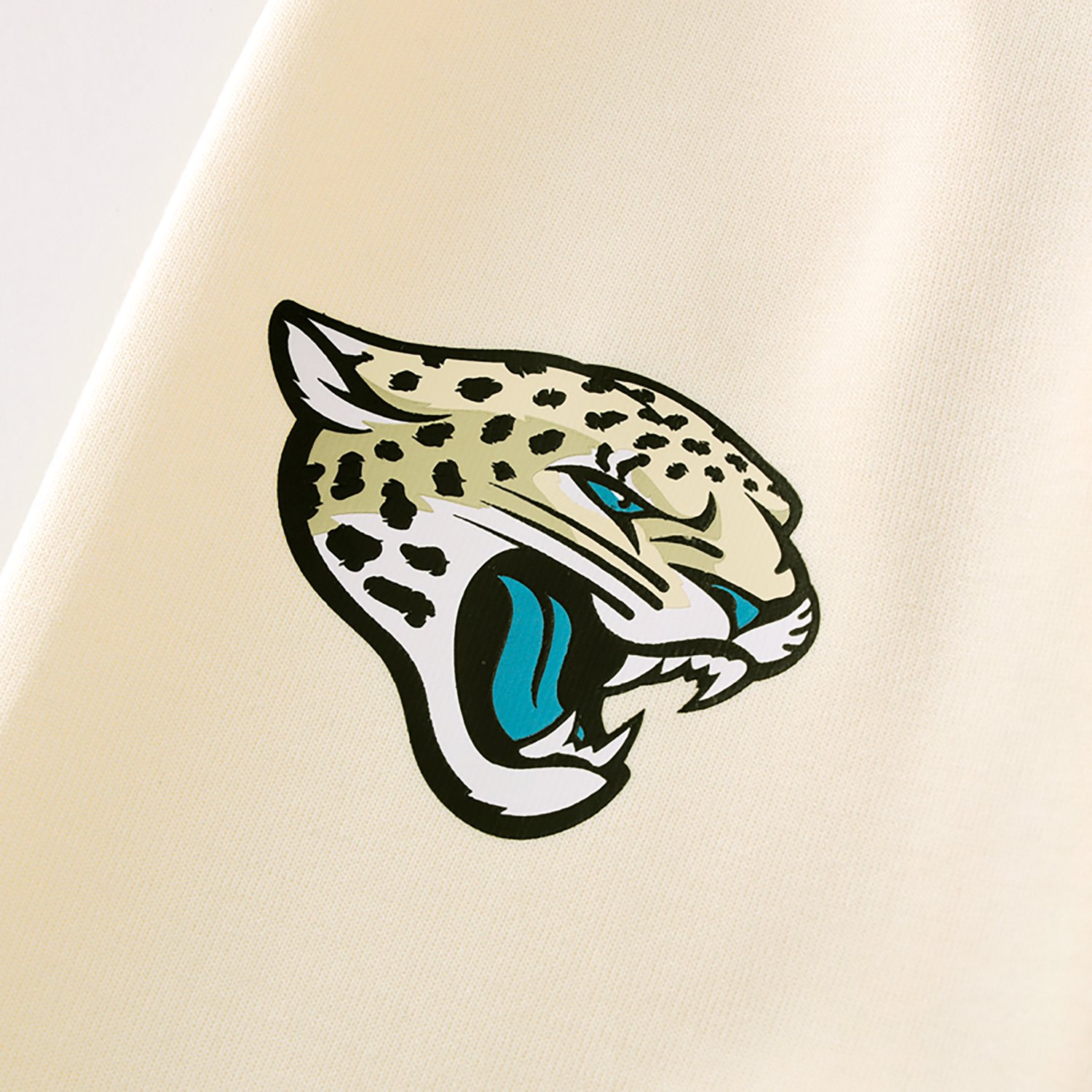 Nike Men's Jacksonville Jaguars Rivalries Dri-FIT Primary Sweatshirt
