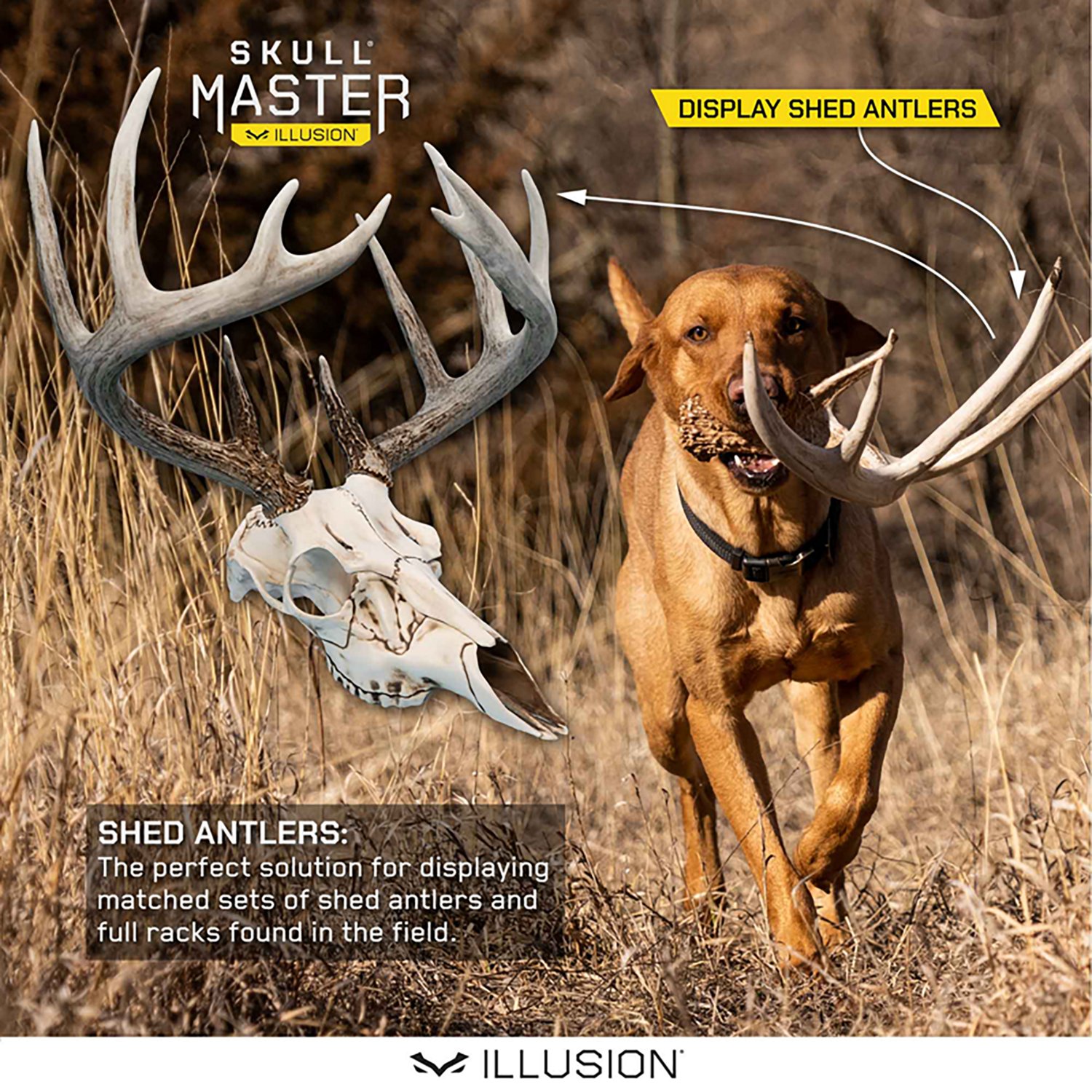 Illusion Systems Skull Master Antler Mounting Kit - view number 5