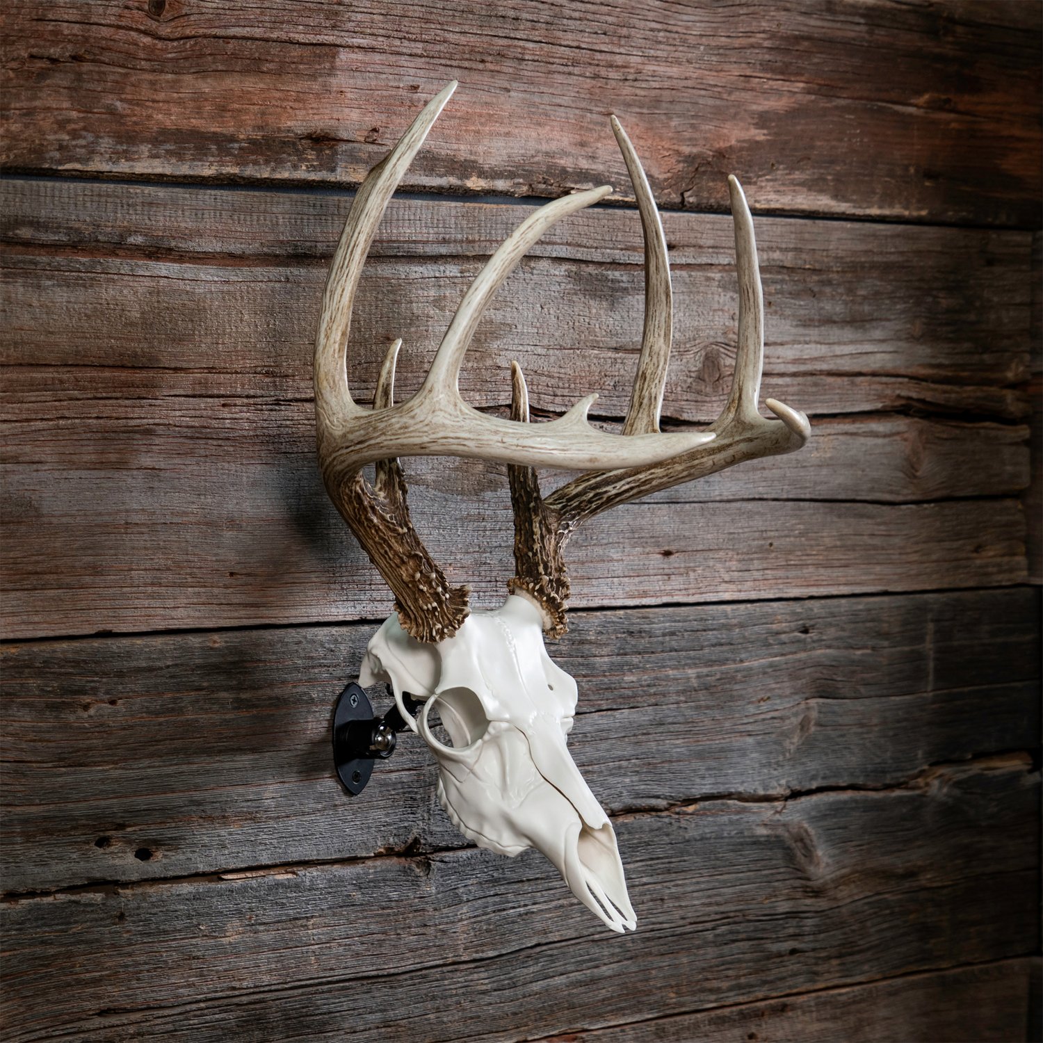 Illusion Systems Deer Ultra Positioner Skull Mount - view number 3