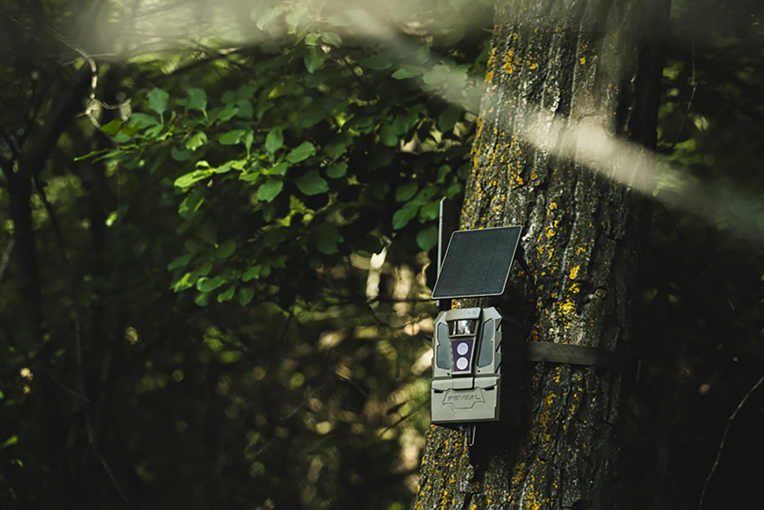 Tactacam Reveal Pro 4.0 Solar Cellular Trail Camera - view number 8