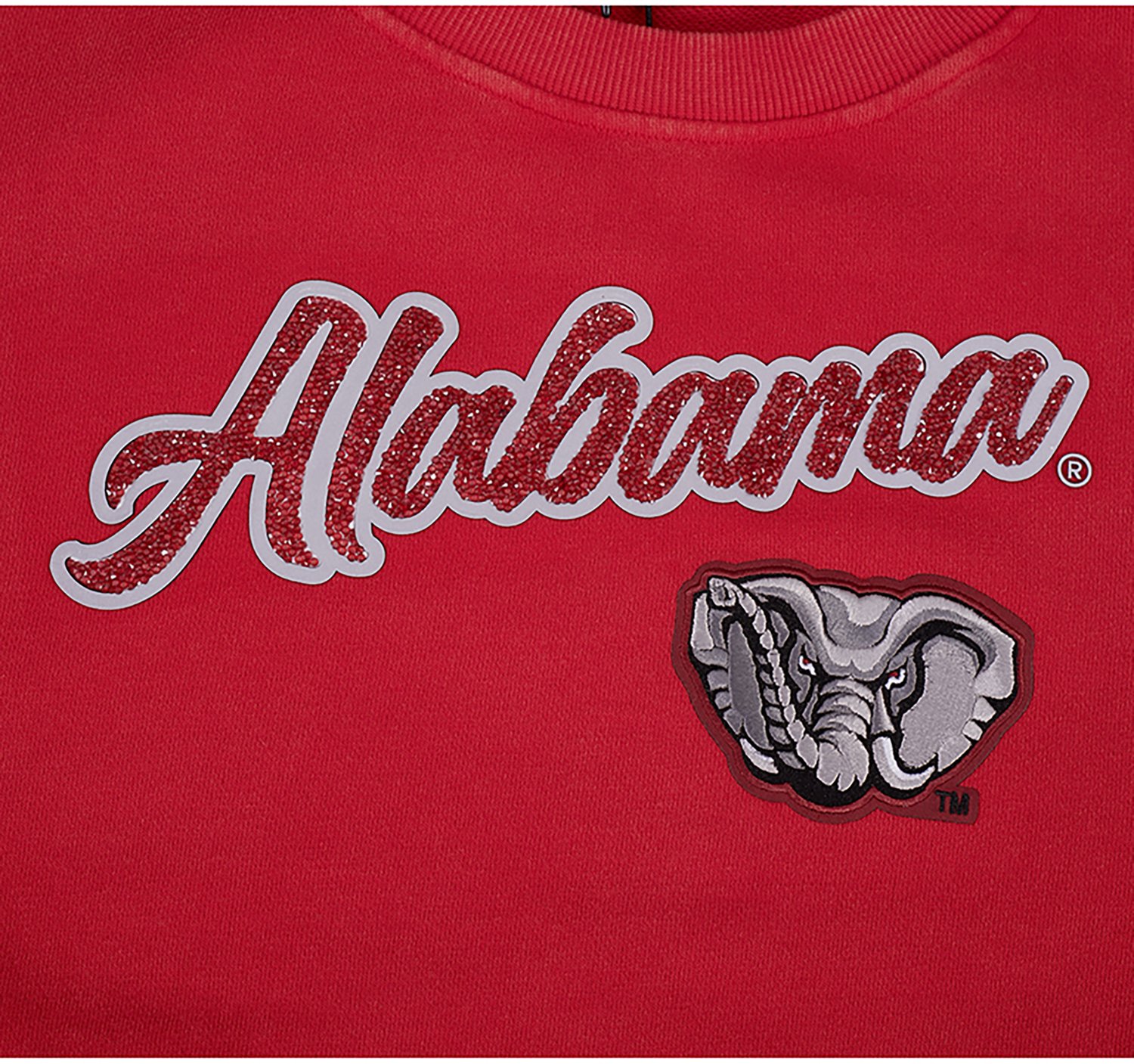 Pro Standard Women's University of Alabama Diagonal School Script Long Sleeve Crew - view number 5