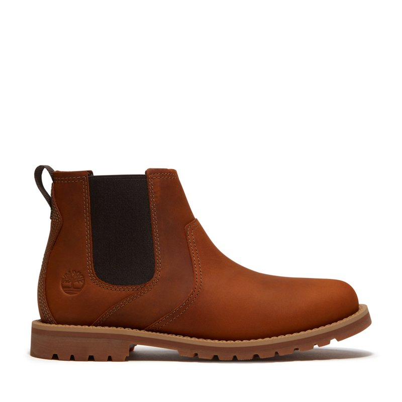 Timberland Men's Britton Falls Chelsea Boots
