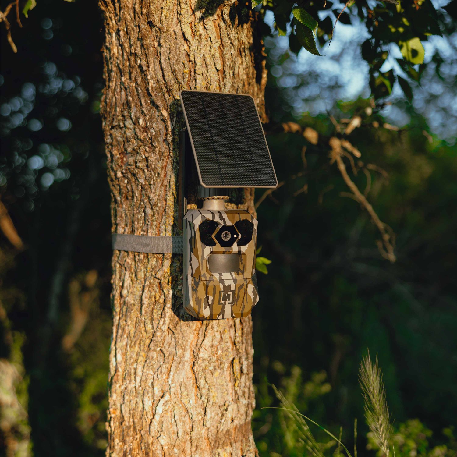 Moultrie Mossy Oak Bottomland Edge 4 Cellular Trail Camera with Integrated Solar Panel - view number 6