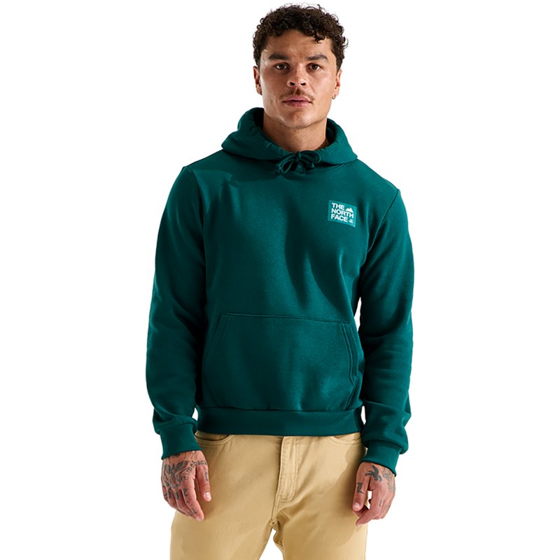 The North Face Men's Evolution Tnf Peak Hoodie - Pacific Teal