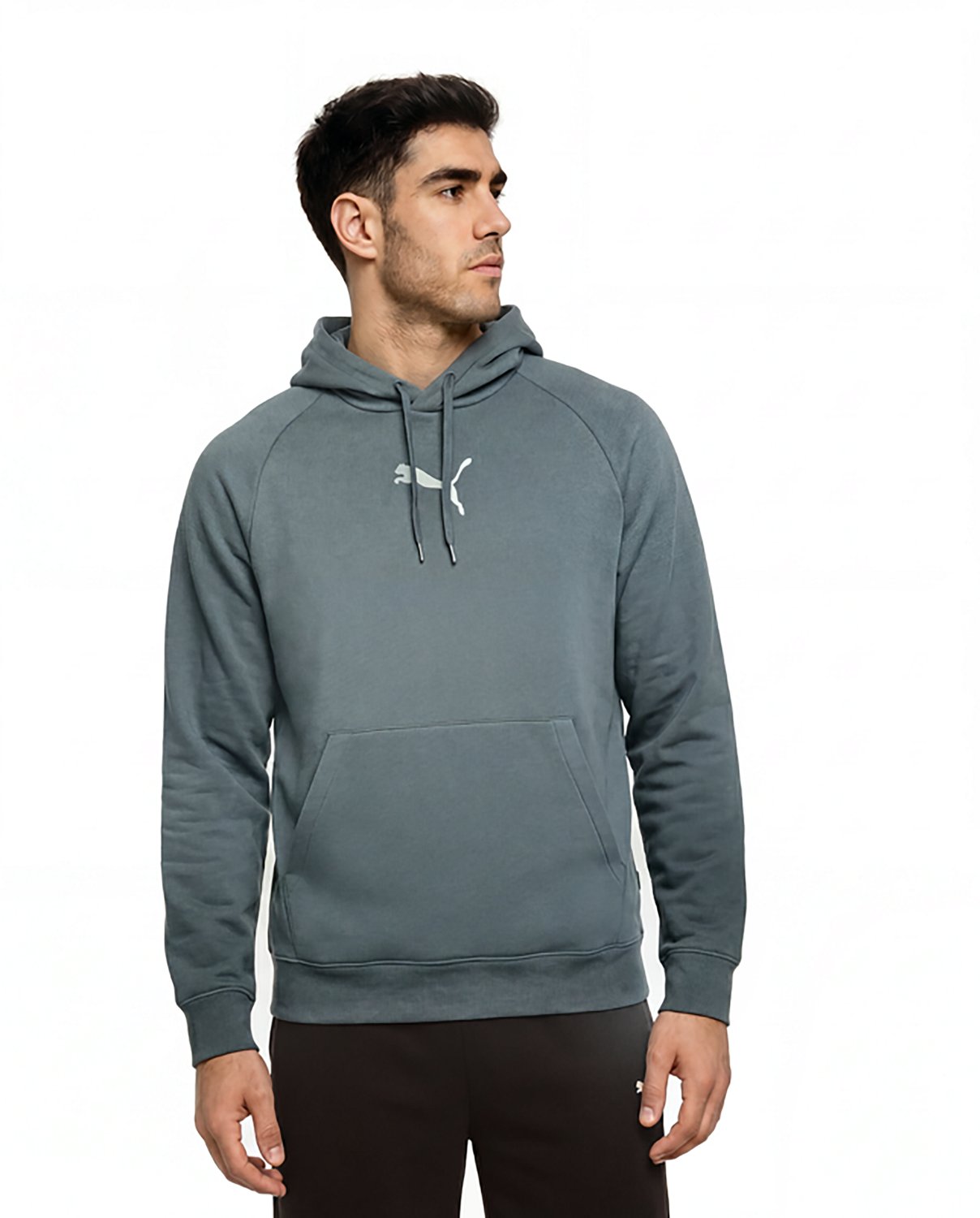PUMA Men's Essentials Elevated HD Hoodie