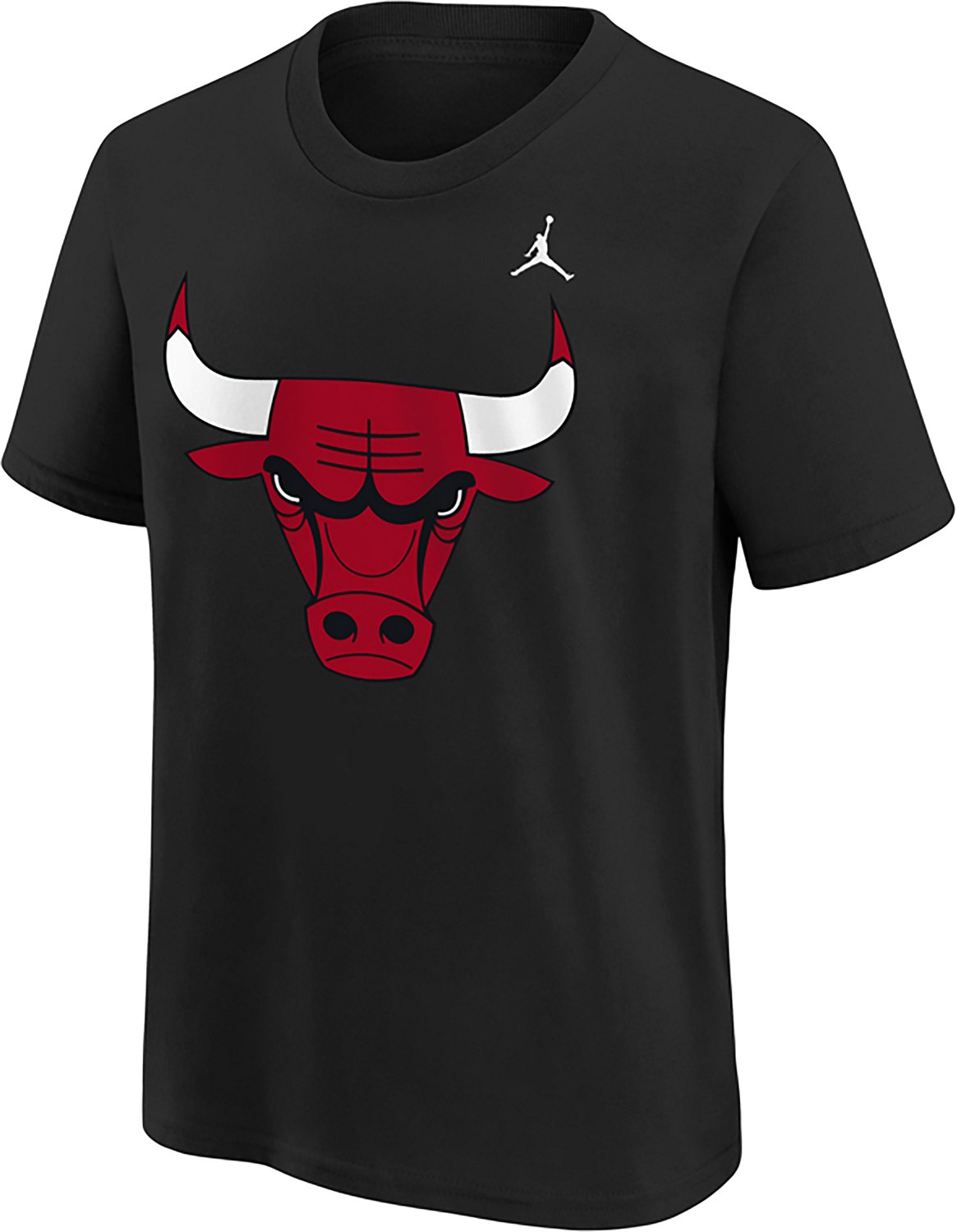 Jordan Kids' Chicago Bulls Statement Logo Graphic T-shirt