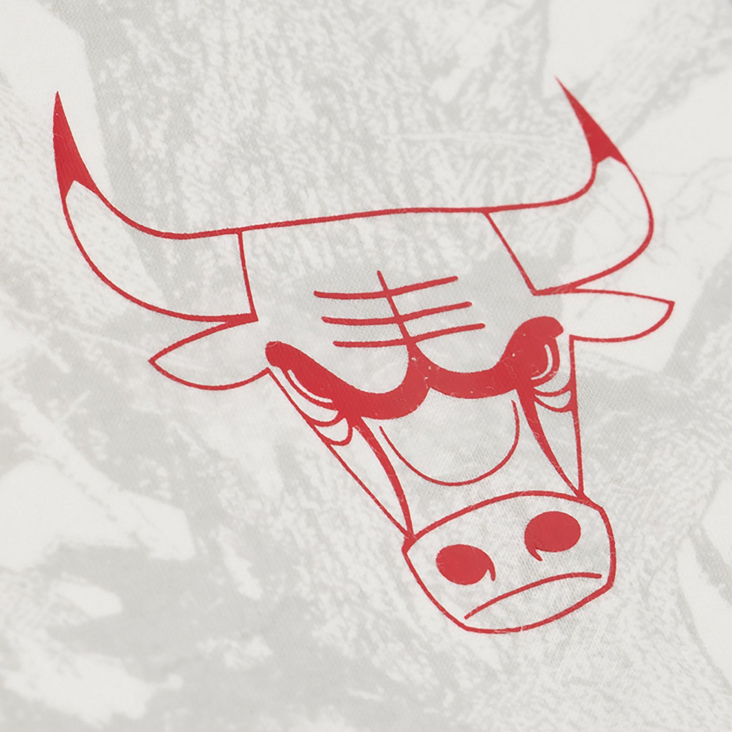 Mitchell & Ness Men's Chicago Bulls Ghosted Hoodie - view number 4