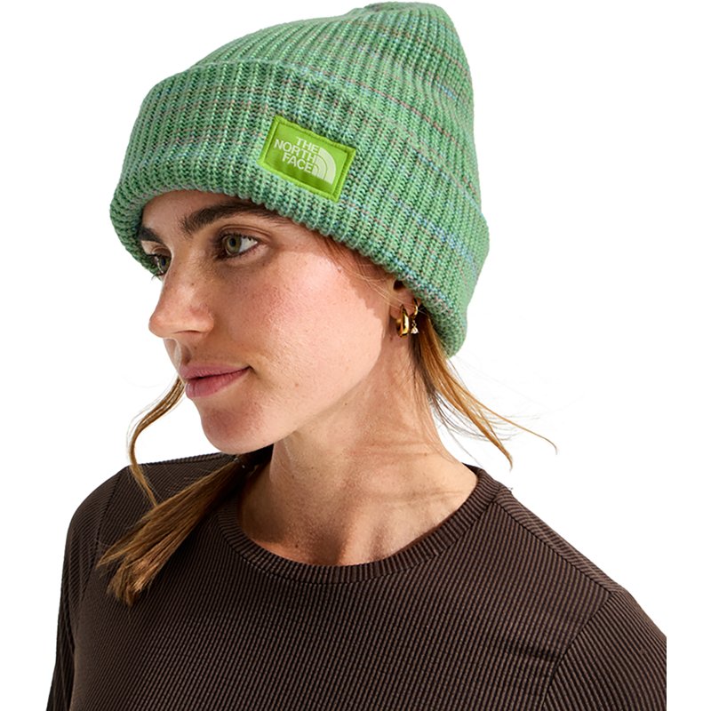 The North Face Salty Bae Lined Beanie: Sport Moss