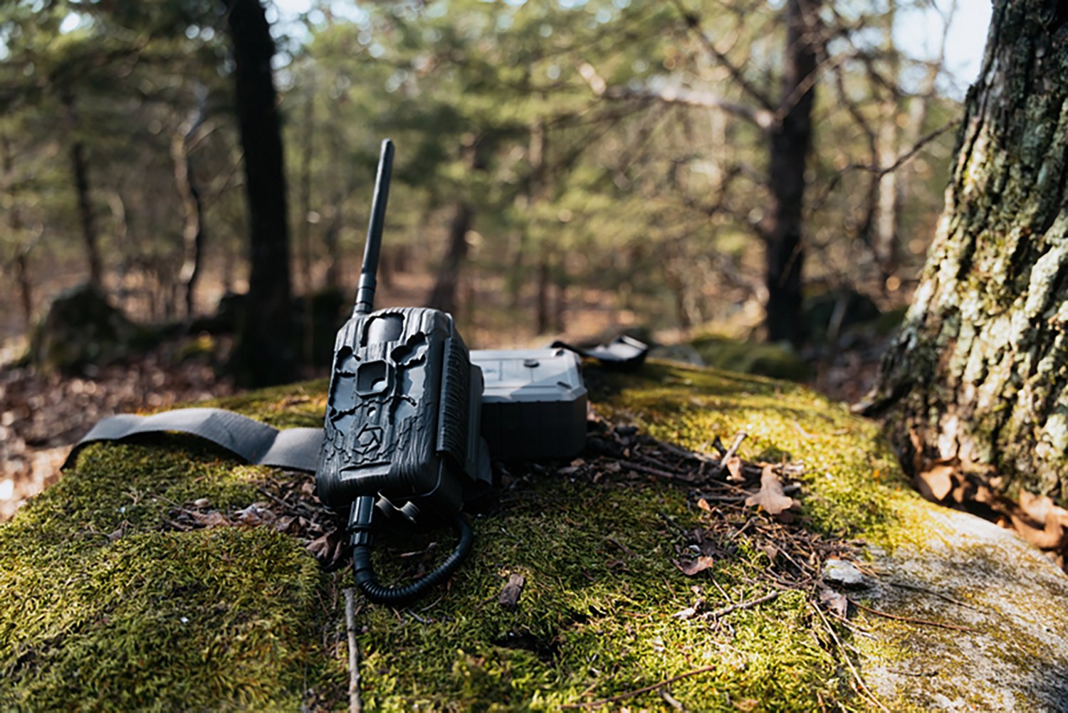 Stealth Cam Deceptor MAX 40.0 MP Cellular Trail Camera with Rechargeable Lithium Battery - view number 5