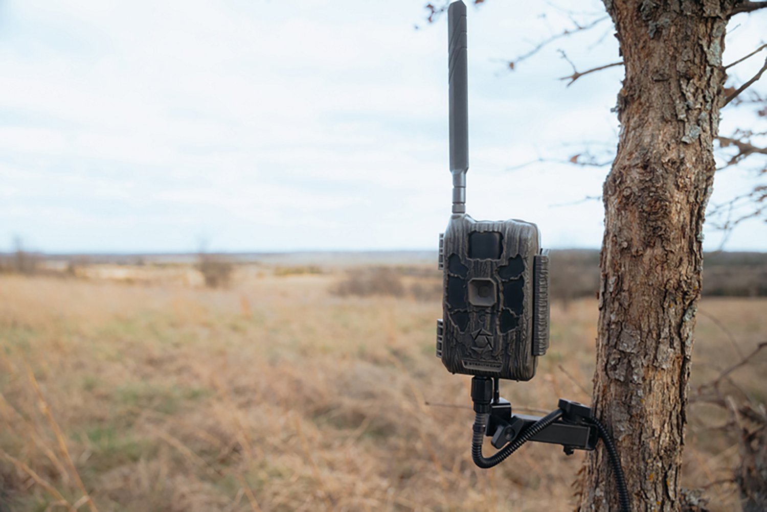 Stealth Cam Deceptor MAX 40.0 MP Cellular Trail Camera with Rechargeable Lithium Battery - view number 6
