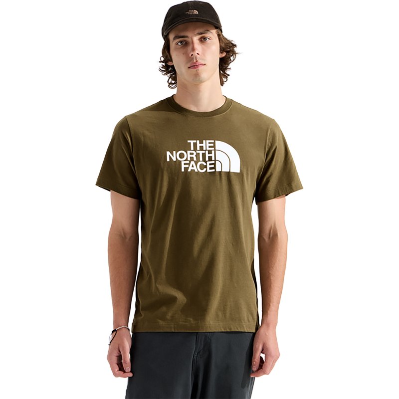 The North Face Men's Evolution Half Dome Short Sleeve Graphic T-Shirt, Medium, Caraway Seed