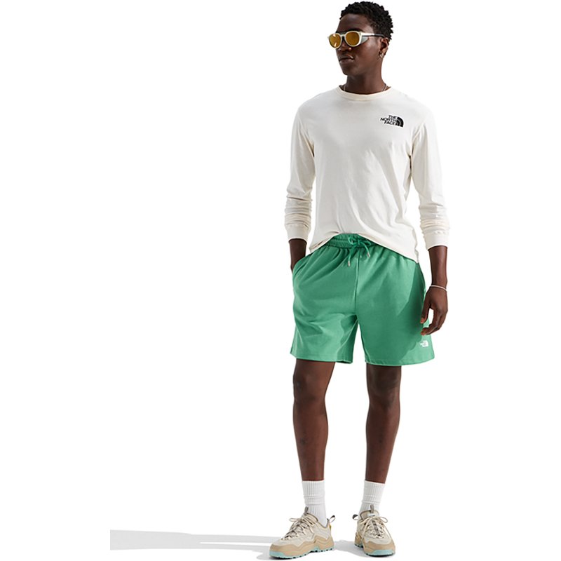 The North Face Men’s TNF™ Double Knit Shorts (Size: Medium): Dimmed Algae