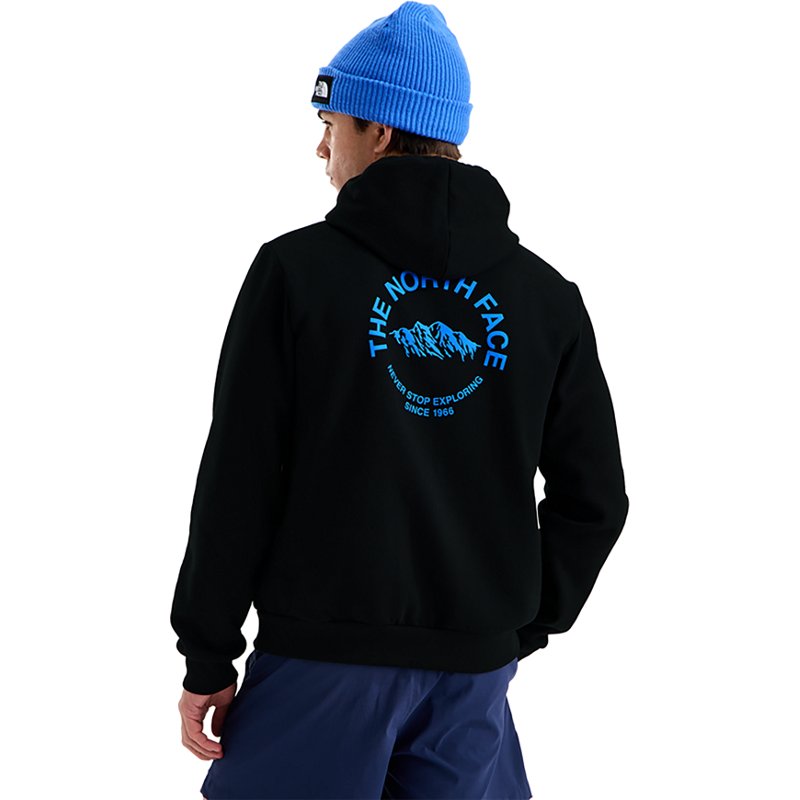 The North Face Men's Evolution TNFâ¢ NSE Regular Hoodie