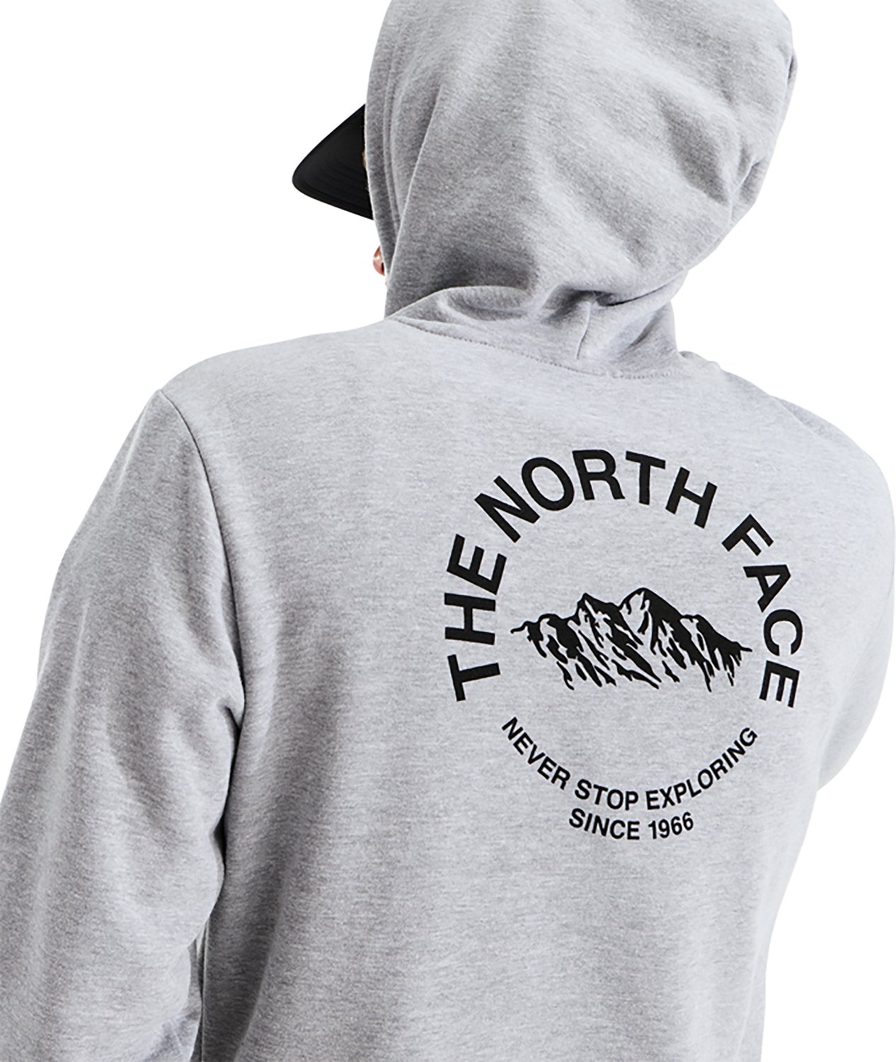 The North Face Men's Evolution TNF™ NSE Regular Hoodie - view number 3