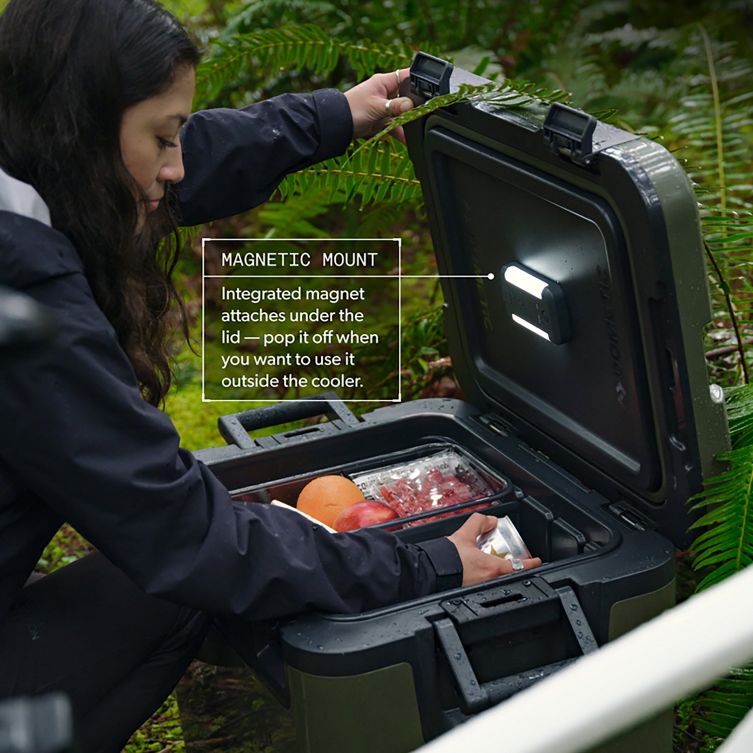 Dometic Recon Accessory Light - view number 4