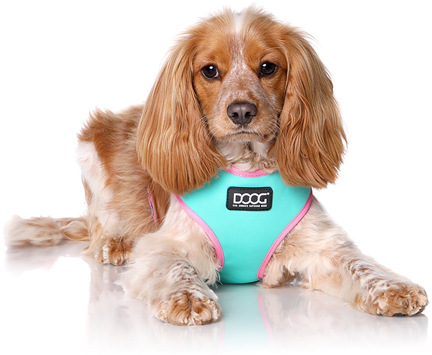 DOOG Neoflex Rin Tin Tin Dog Harness | Academy
