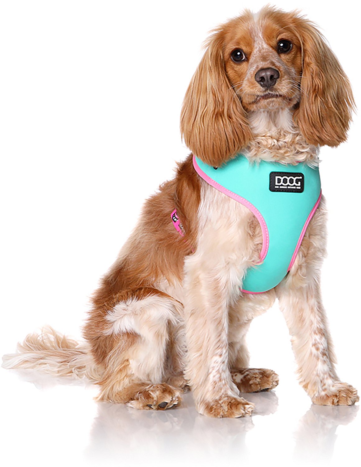DOOG Neoflex Rin Tin Tin Dog Harness | Academy