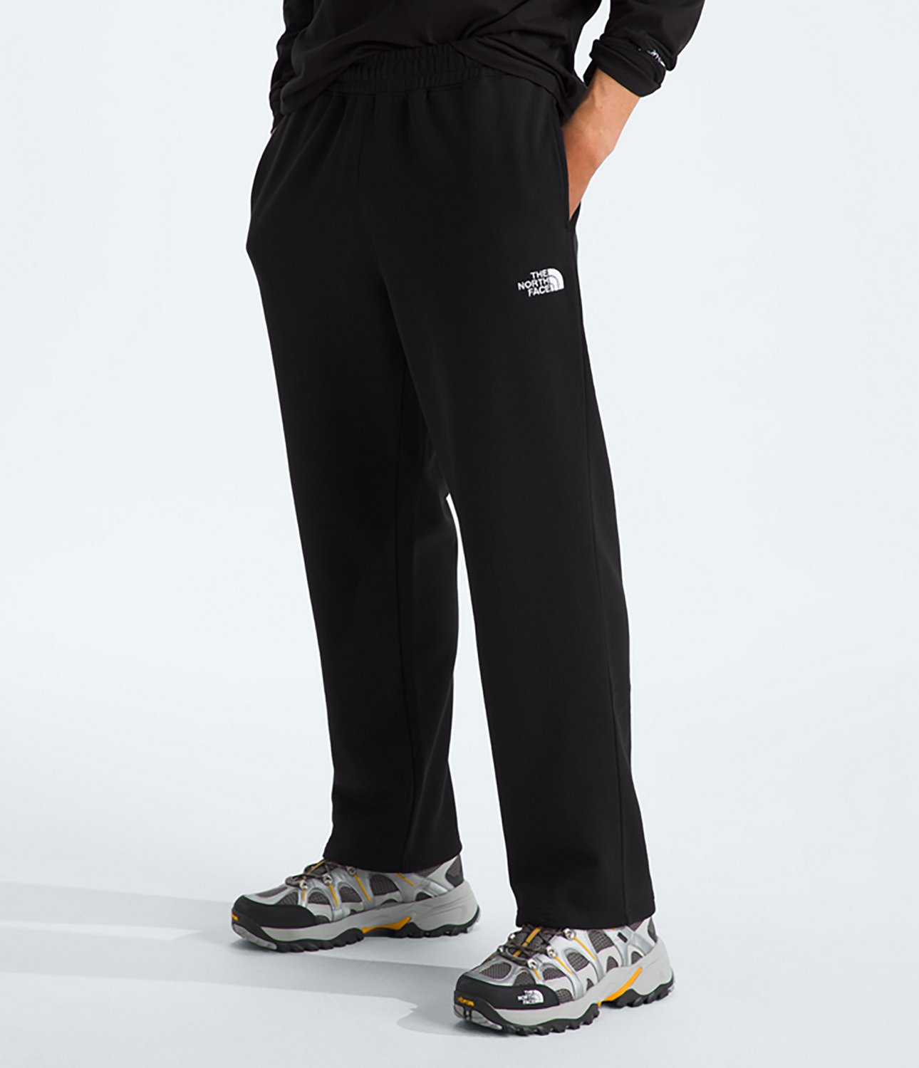 The North Face Men's Evolution Straight Leg Sweatpant - view number 3