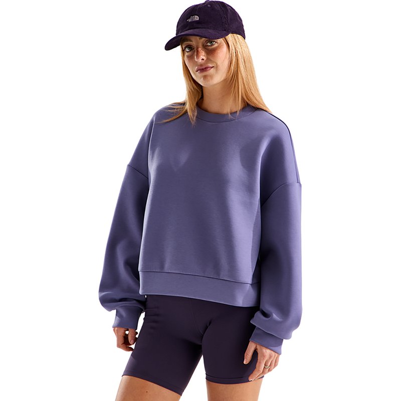 The North Face Women’s Jaida Crew Shirt (Size: Small): Grounded Plum