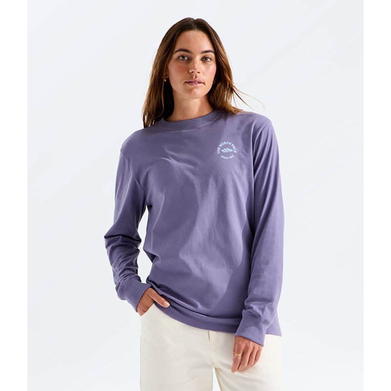 The North Face Women’s Evolution TNF™ NSE Relaxed Long-Sleeve T-Shirt (Size: Small): Grounded Plum