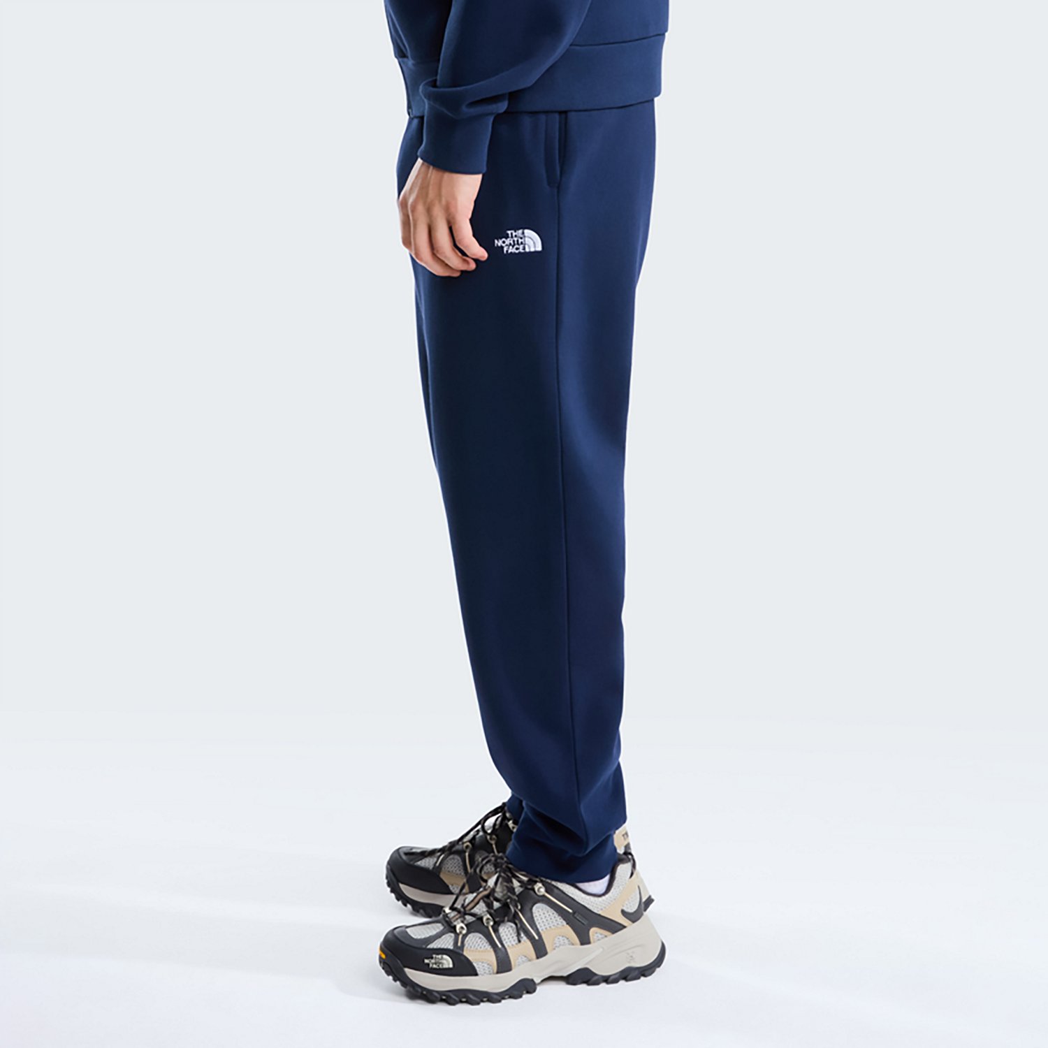 The North Face Men's Evolution Simple Dome Regular Joggers - view number 3