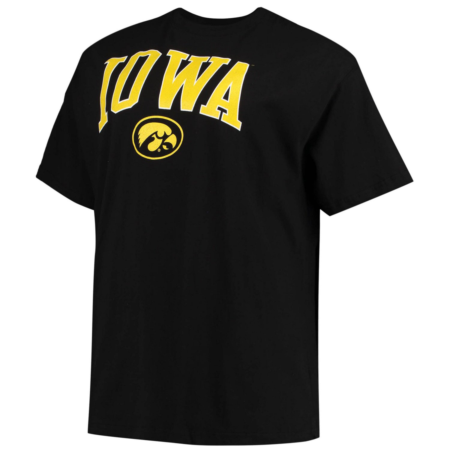 Champion Iowa Hawkeyes Big Tall Arch Over Wordmark T-Shirt | Academy