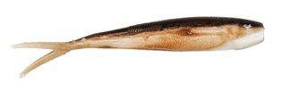 Berkley Gulp Salt Water Baitfish 3 in 10-Pack | Academy