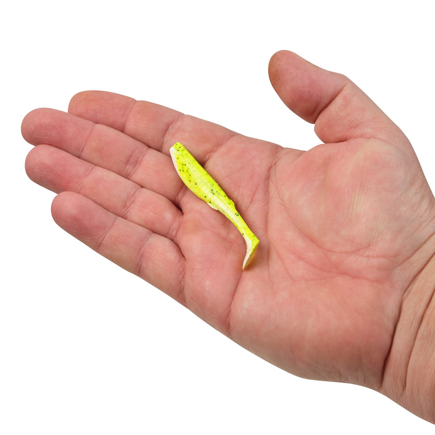 Berkley Gulp Paddleshad 3 inch 5-Pack | Academy