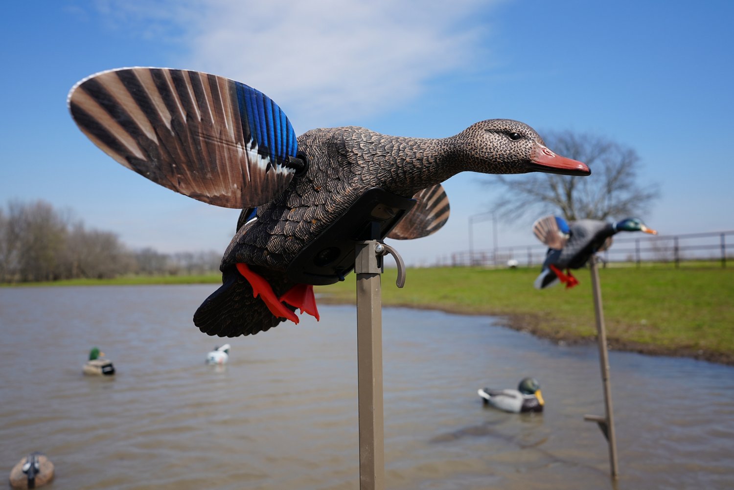 MOJO Outdoors Mallard Elite Series Mini Mallard Hen Decoy | Academy