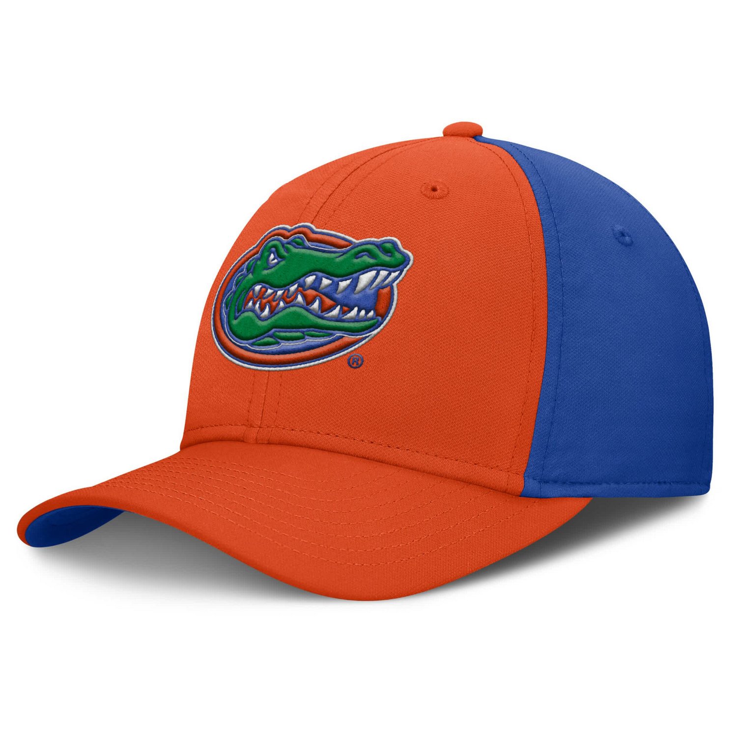 Jordan Brand Royal Florida Gators 2025 Sideline Rise Local Performance ...