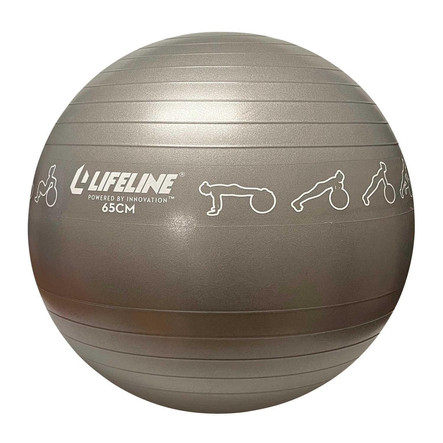 Lifeline 65 cm Exercise Ball Free Shipping at Academy
