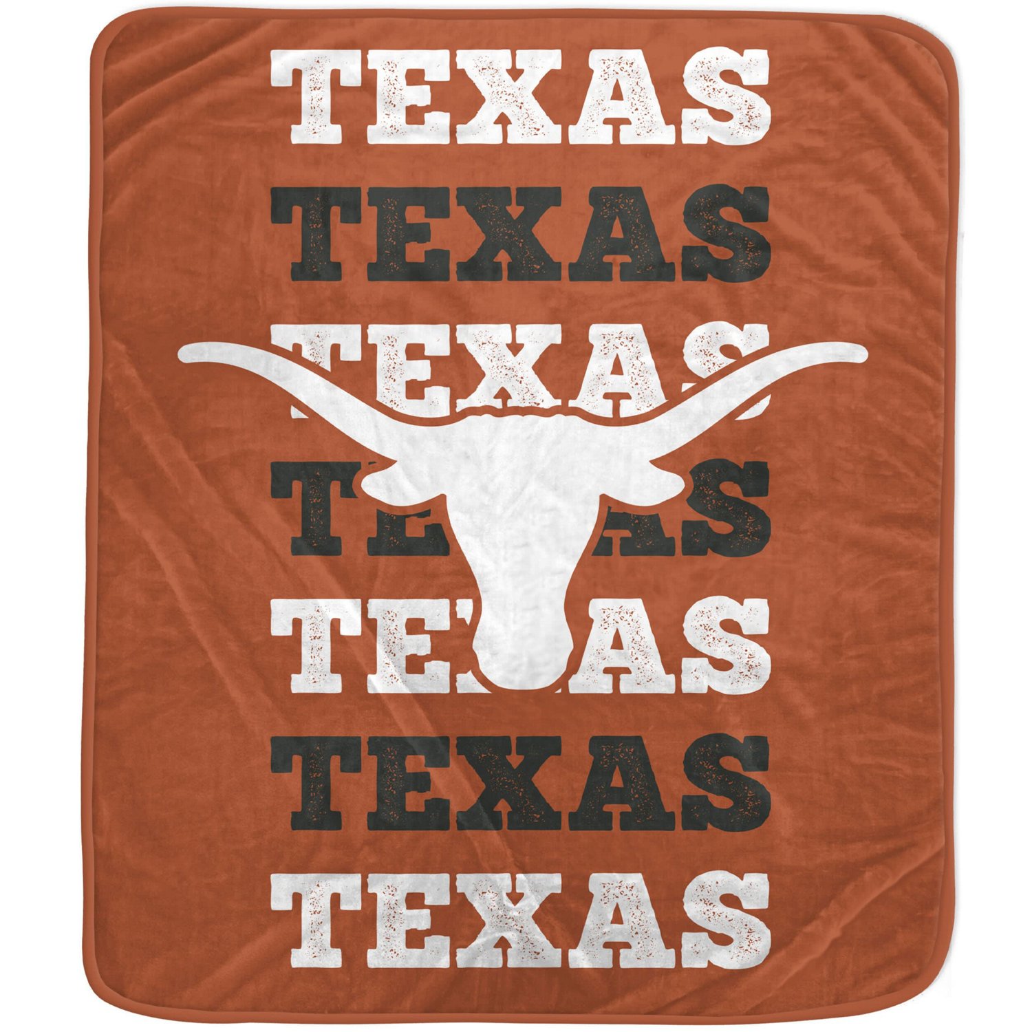 Pegasus Texas Longhorns 60'' x 70'' Logo Wordmark Plush Blanket | Academy