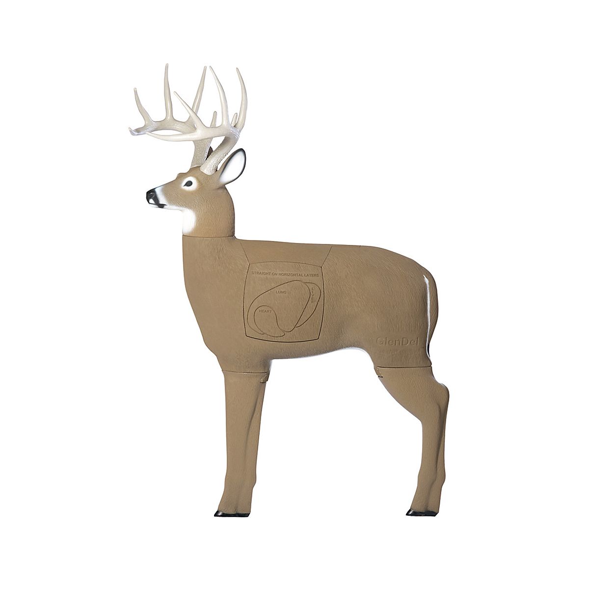 glendel-3-d-buck-target-academy