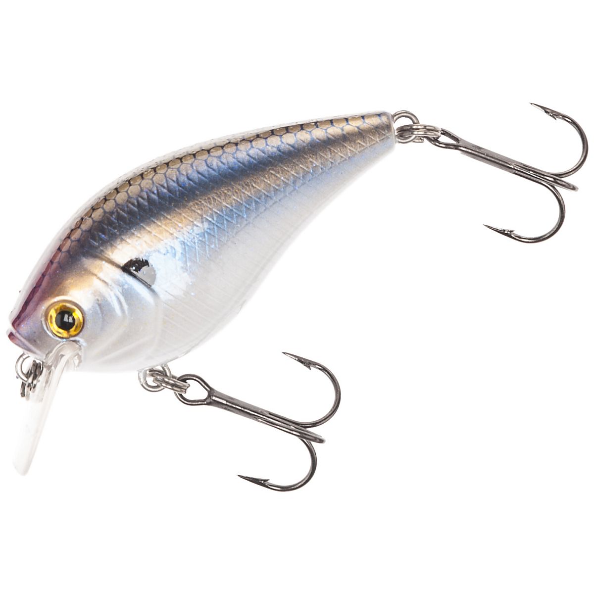 Details about   H2O Express Square Bill Crankbait Bass Fishing Lure 