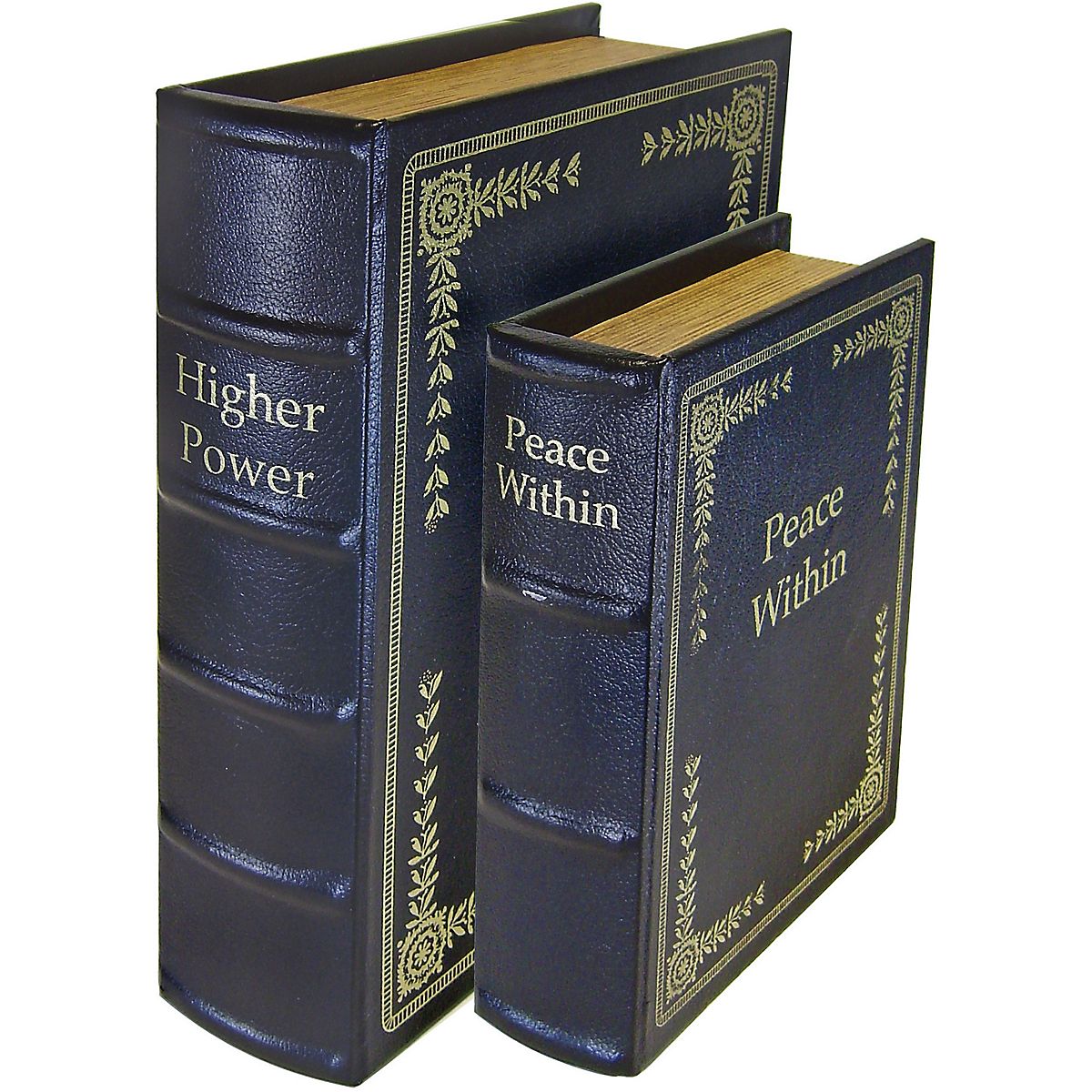 PSP Diversion Books 2Piece Set Free Shipping at Academy