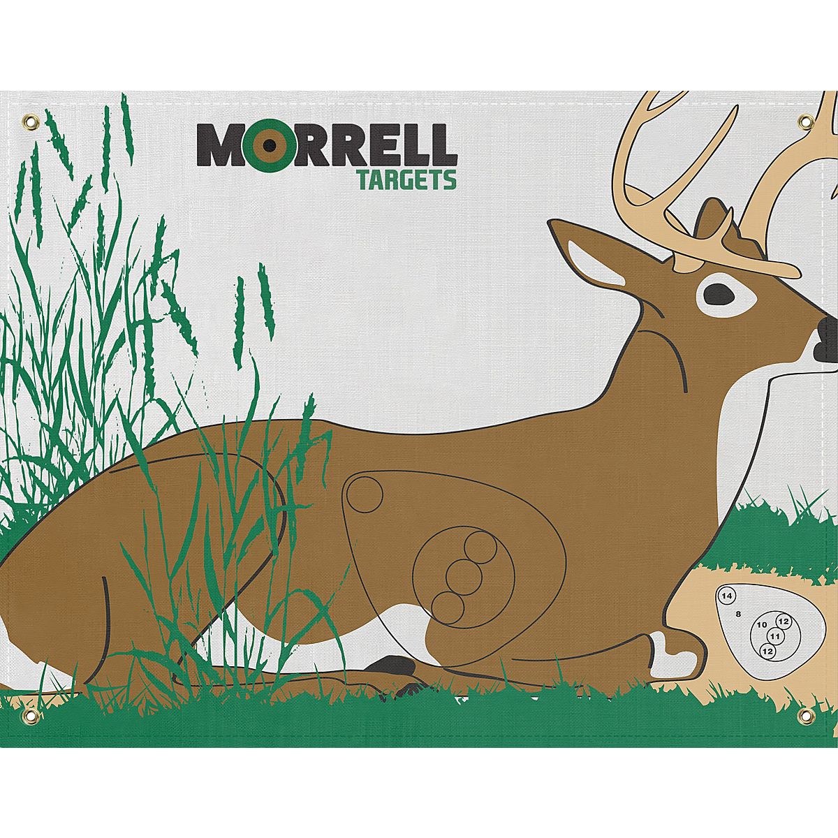 Morrell Bedded Deer Target Face | Academy