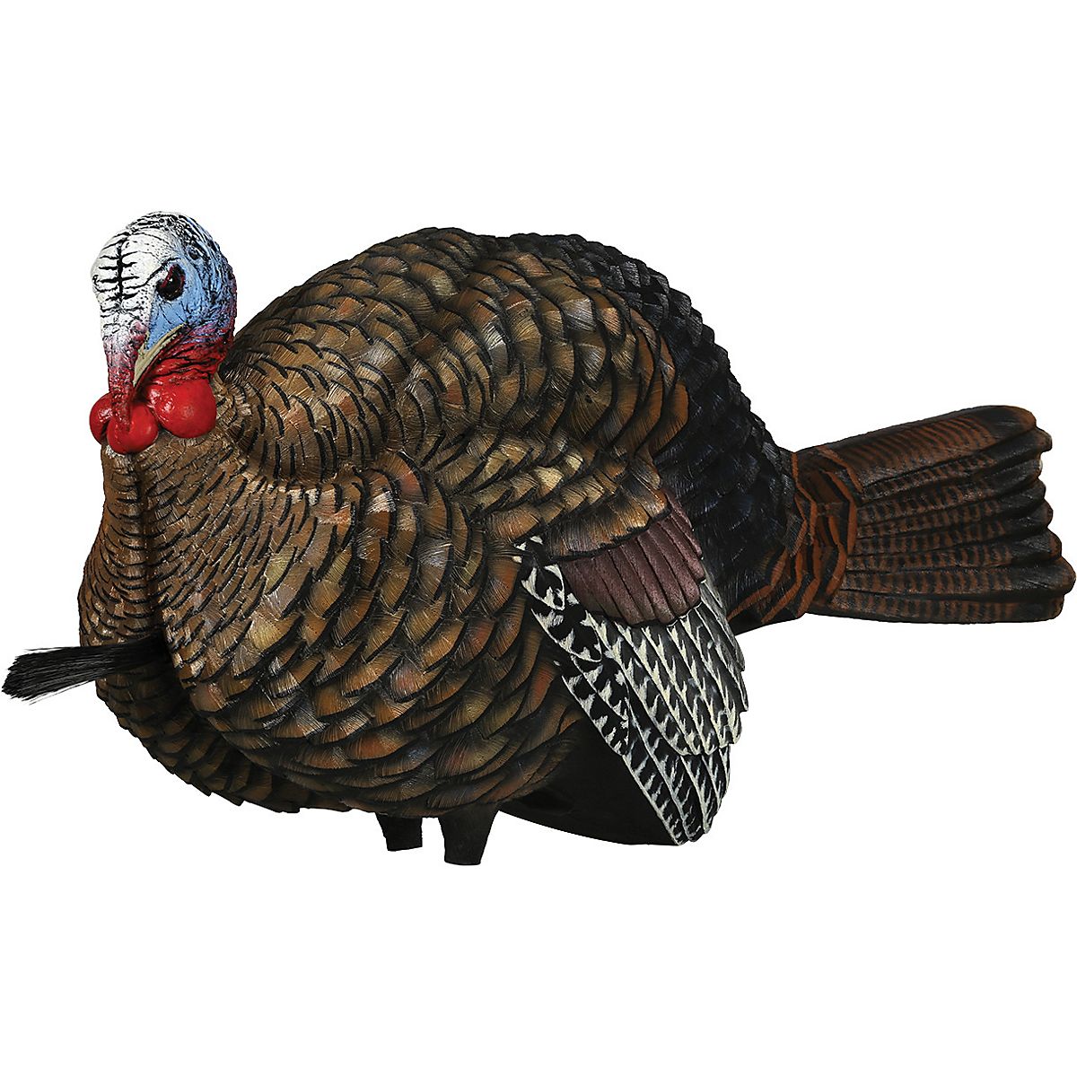 AvianX HalfStrut Jake Turkey Decoy Academy