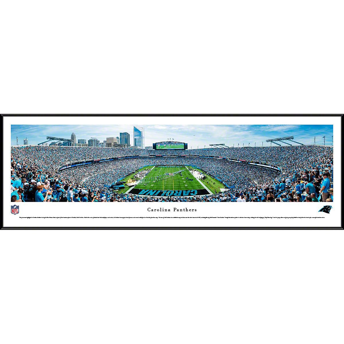 Bank of America Stadium Wall Mural, Football Stadium