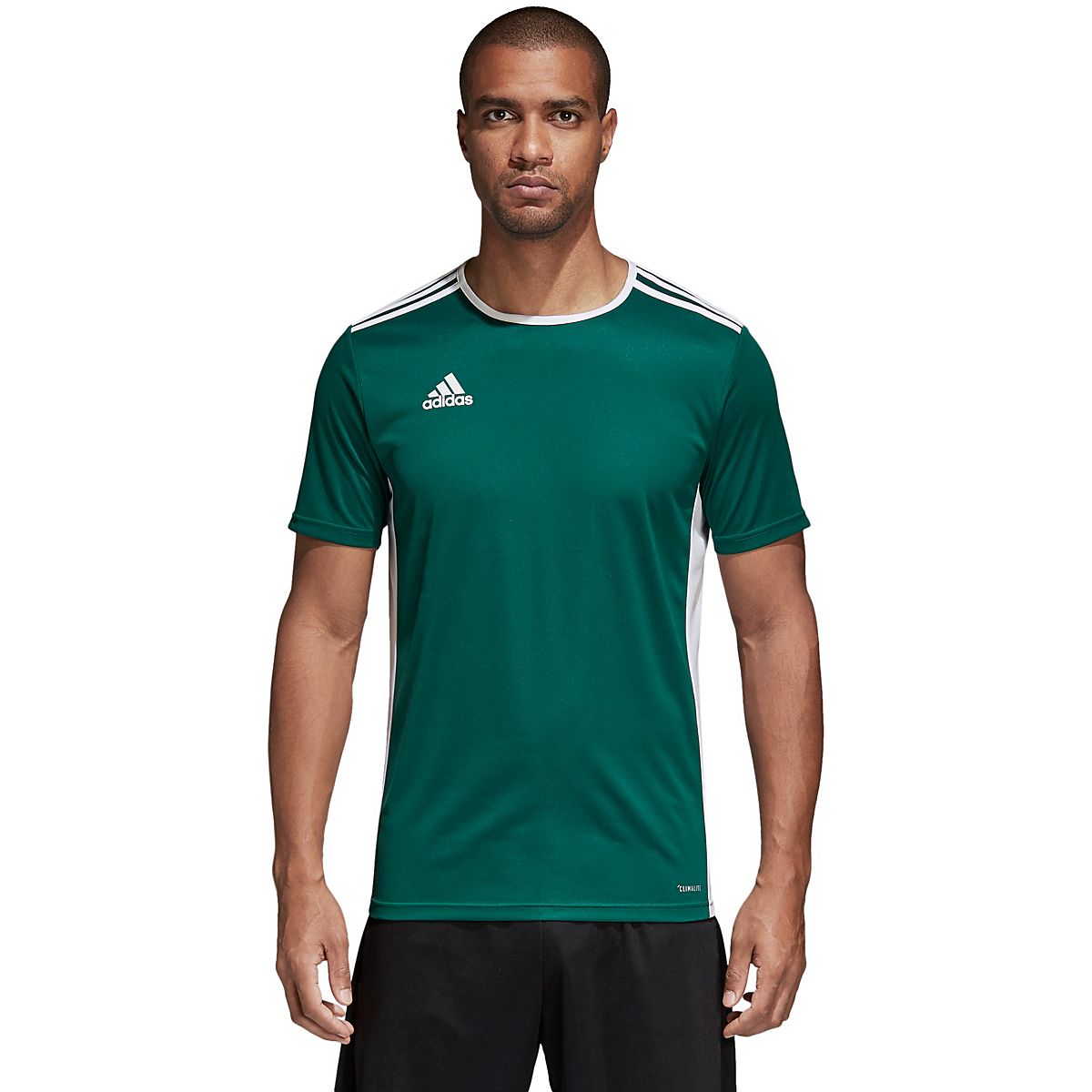 South Suburban Soccer Academy adidas Entrada 18 Training Jersey -  Silver/White