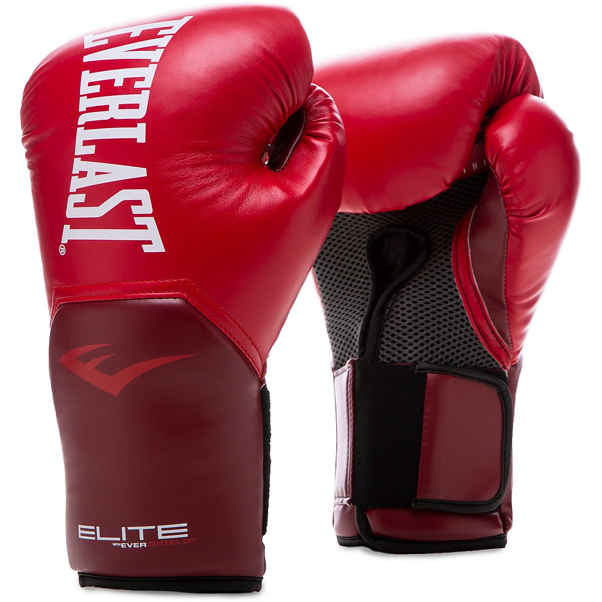 ボクシング Everlast Elite Training Gloves 12oz Everlast Elite Pro Style Training Boxing Gloves 12oz Blue | eBay
