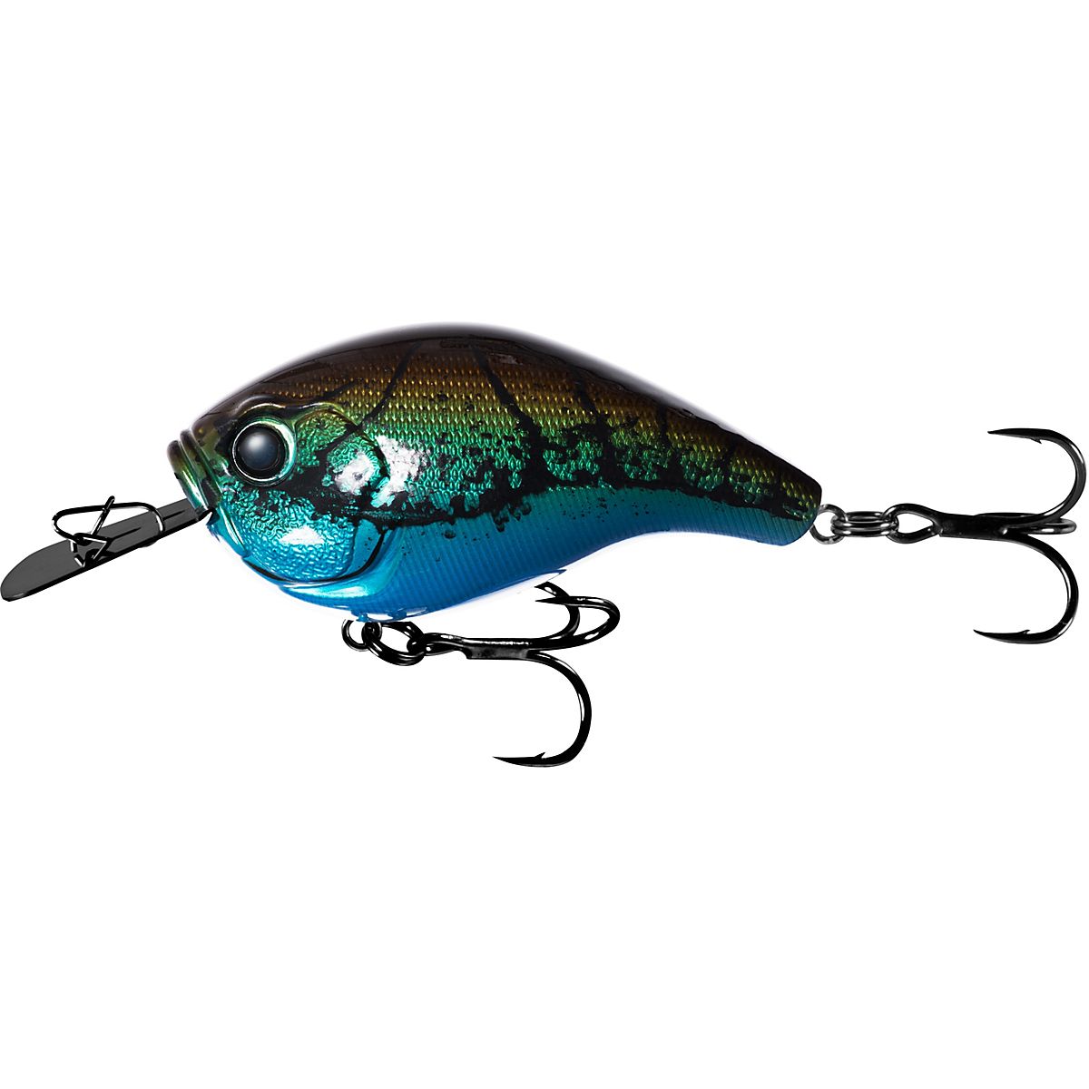 13 FISHING - Jabber Jaw - Hybrid Squarebill - 2.3 - 1/2oz - Citrus Shad -  JJC60-60 : : Sports & Outdoors